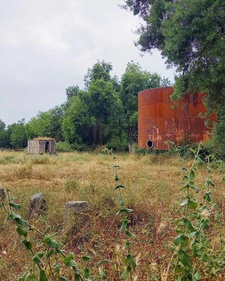 Posada Rural La Resinera Ла Адрада Екстериор снимка