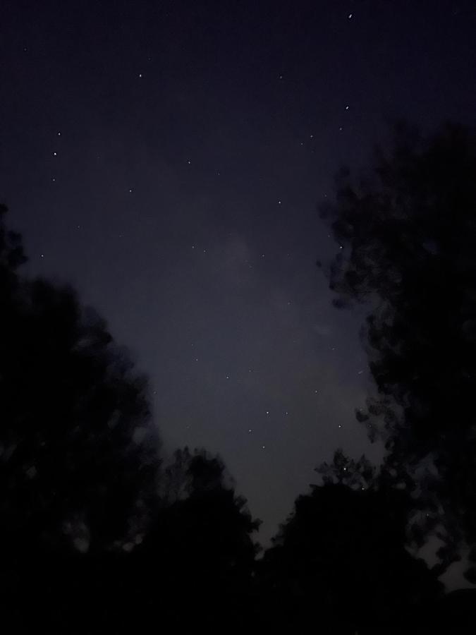 Posada Rural La Resinera Ла Адрада Екстериор снимка