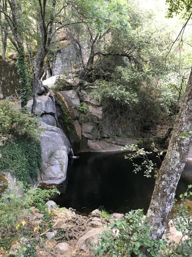 Posada Rural La Resinera Ла Адрада Екстериор снимка