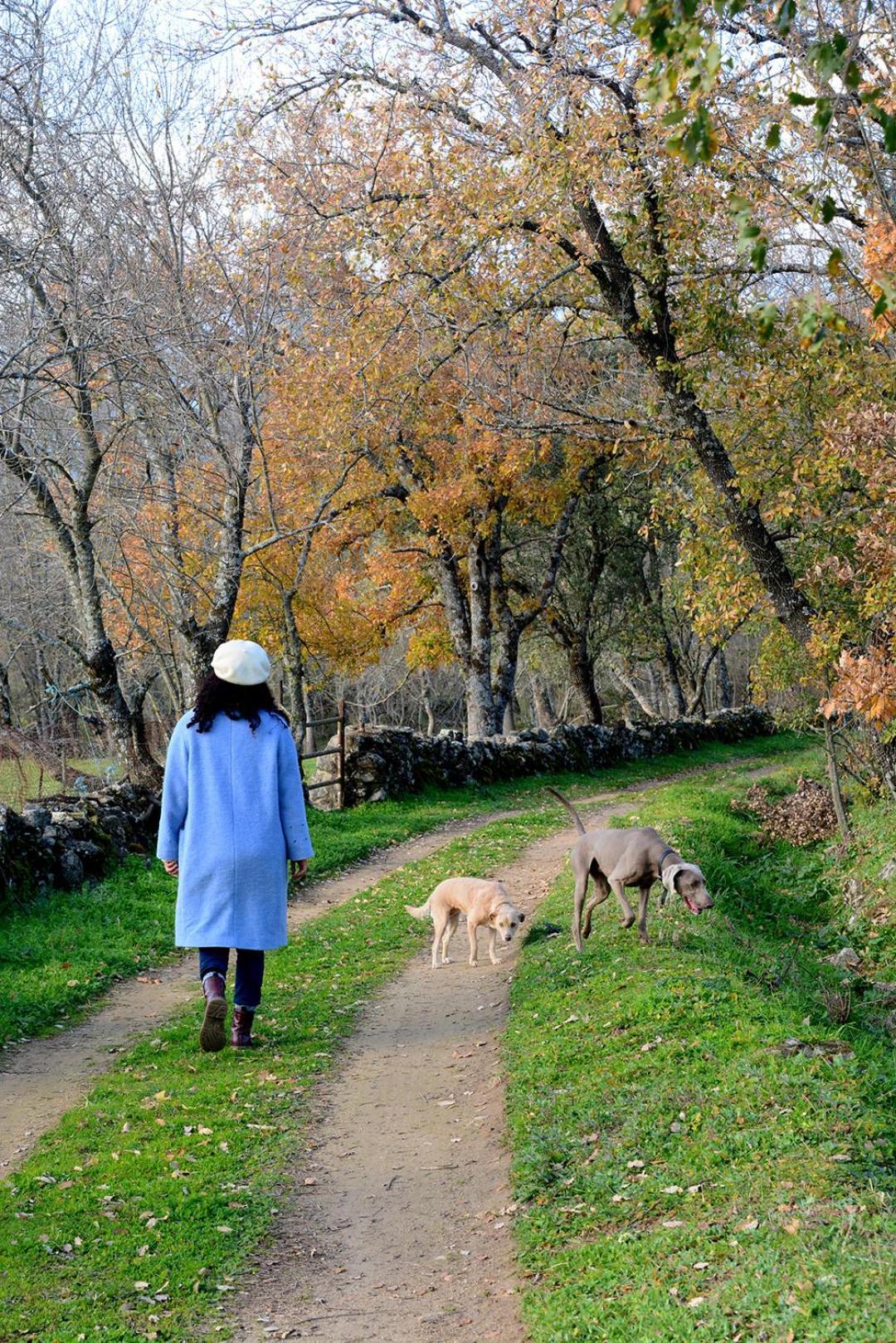 Posada Rural La Resinera Ла Адрада Екстериор снимка