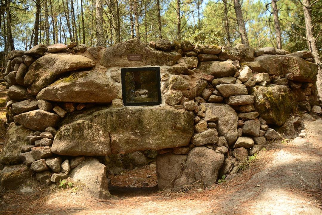 Posada Rural La Resinera Ла Адрада Екстериор снимка